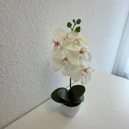 Lucky Ls07 - Vollausstattung - Zentrum - Aufzug - Grosse Kueche - 2 - Smart-tv Appartement *