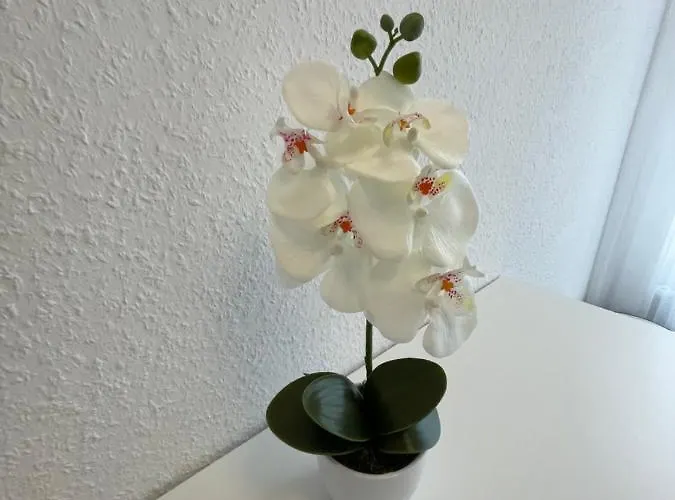 Lucky Ls07 - Vollausstattung - Zentrum - Aufzug - Grosse Kueche - 2 - Smart-tv Lägenhet *